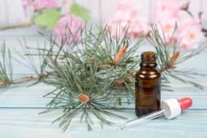 פרחי באך בשגרה - שילוב פרחי באך בשגרה היומית להתמודדות עם דיכאון